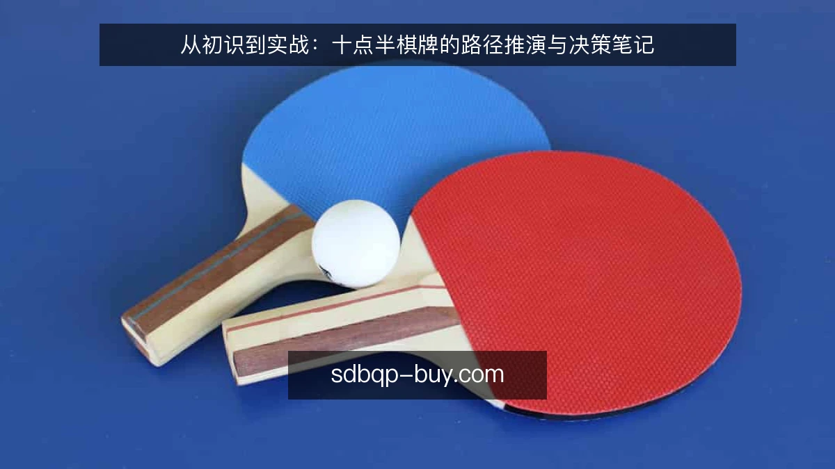 从初识到实战:十点半棋牌的路径推演与决策笔记