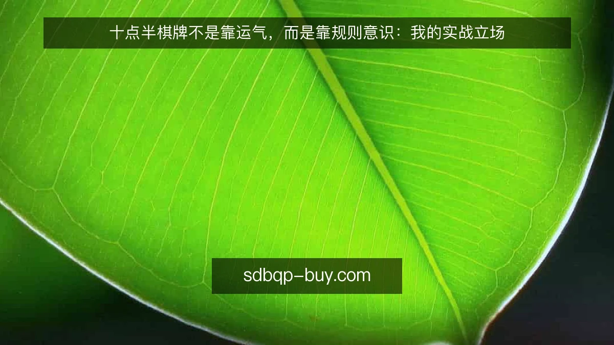十点半棋牌不是靠运气,而是靠规则意识:我的实战立场